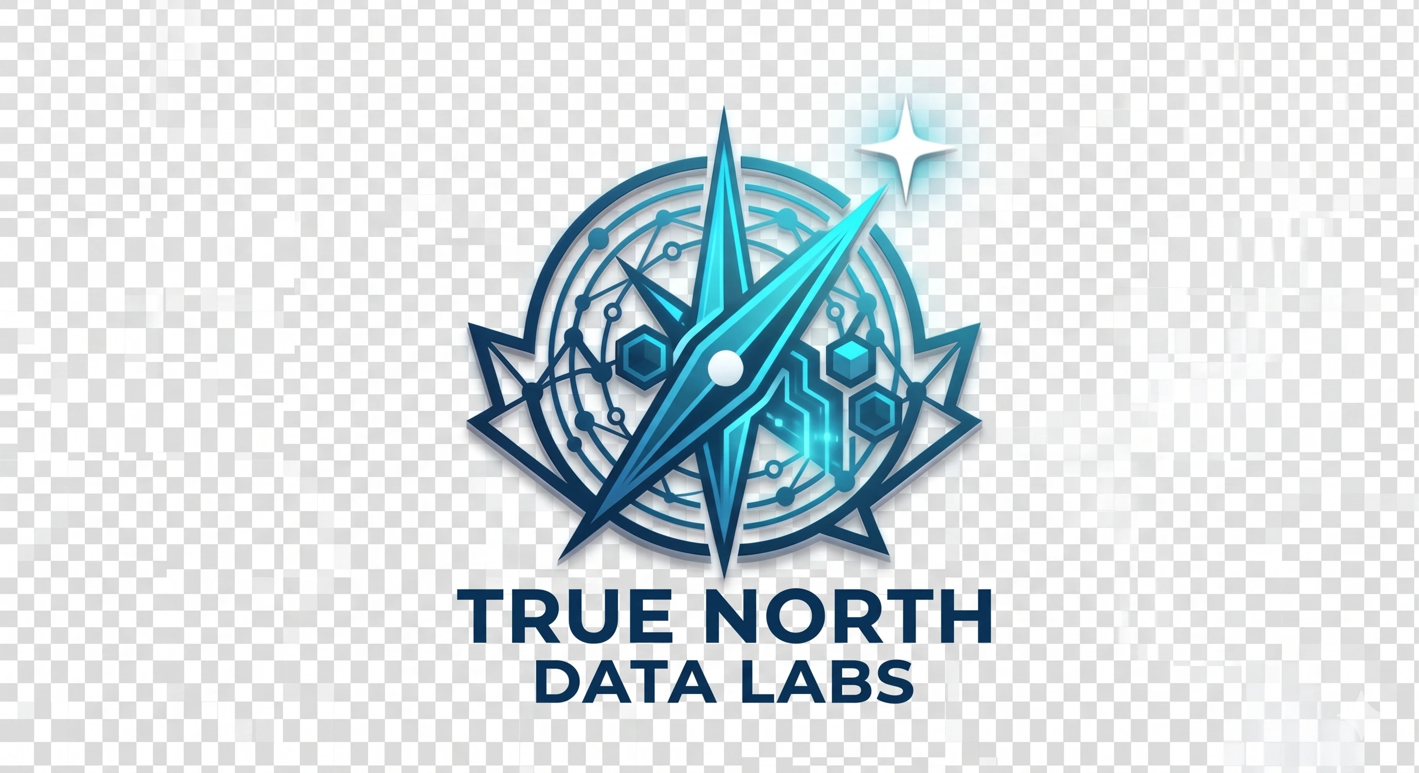 True North Data Labs